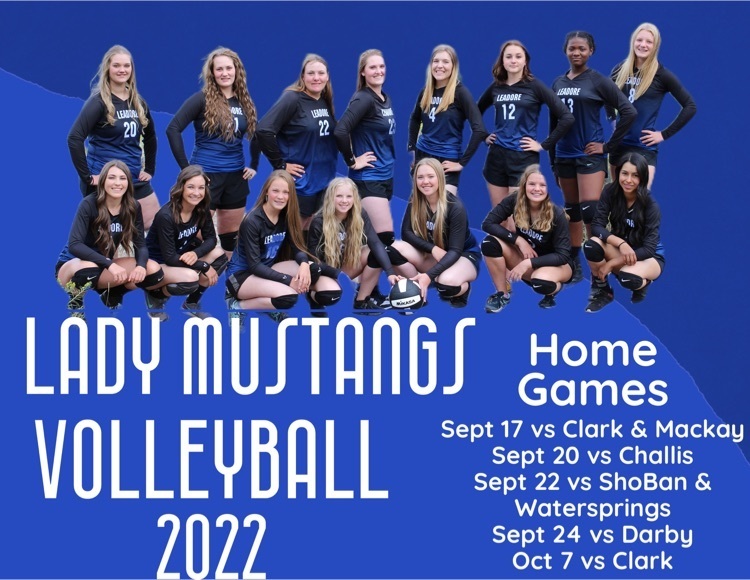 Varsity Volleyball Home Game Schedule 